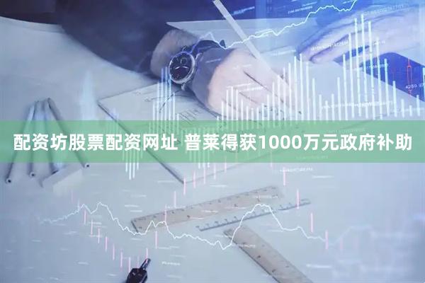 配资坊股票配资网址 普莱得获1000万元政府补助